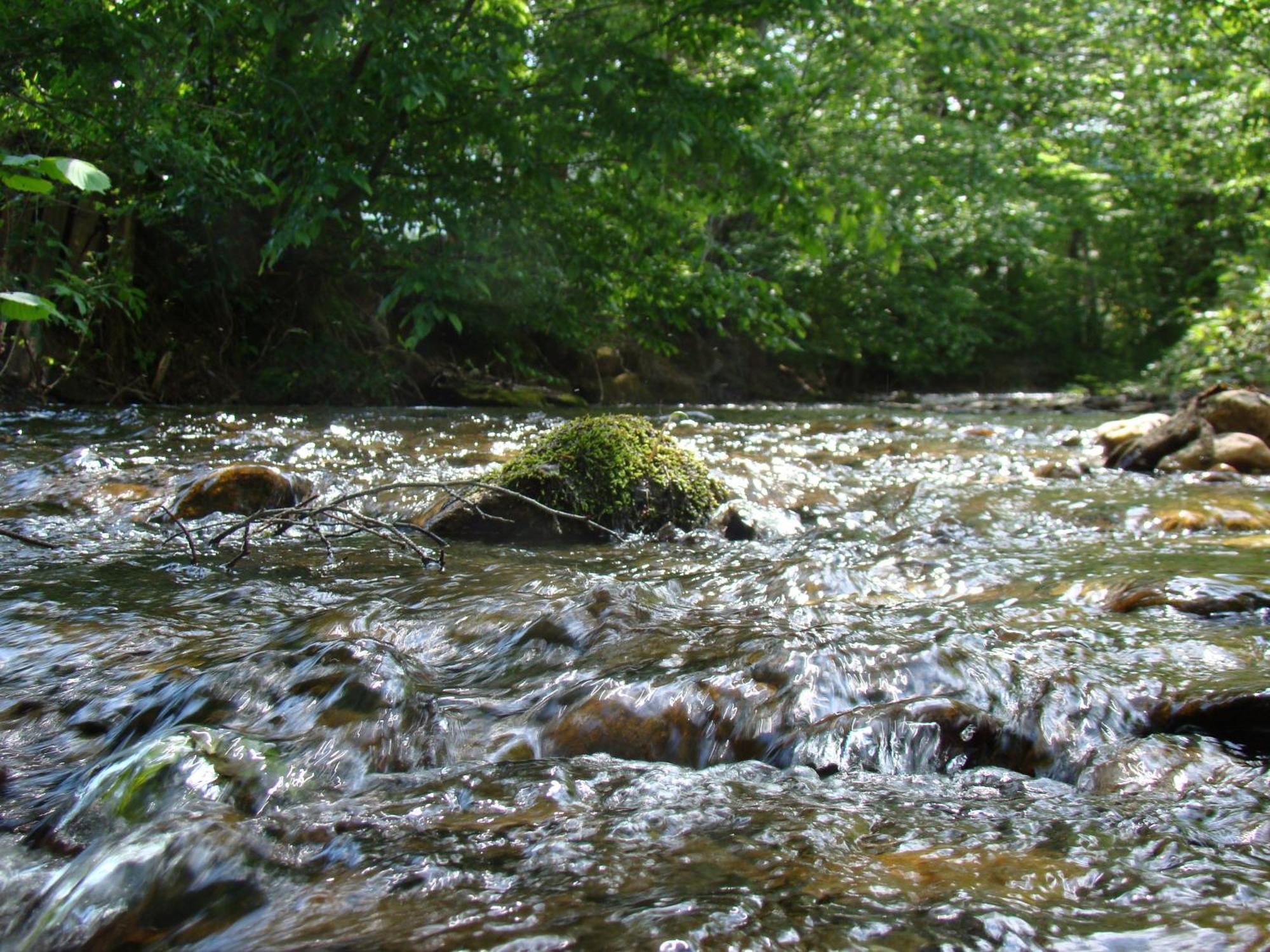 Gasthof Stegweber Schwanberg Luaran gambar
